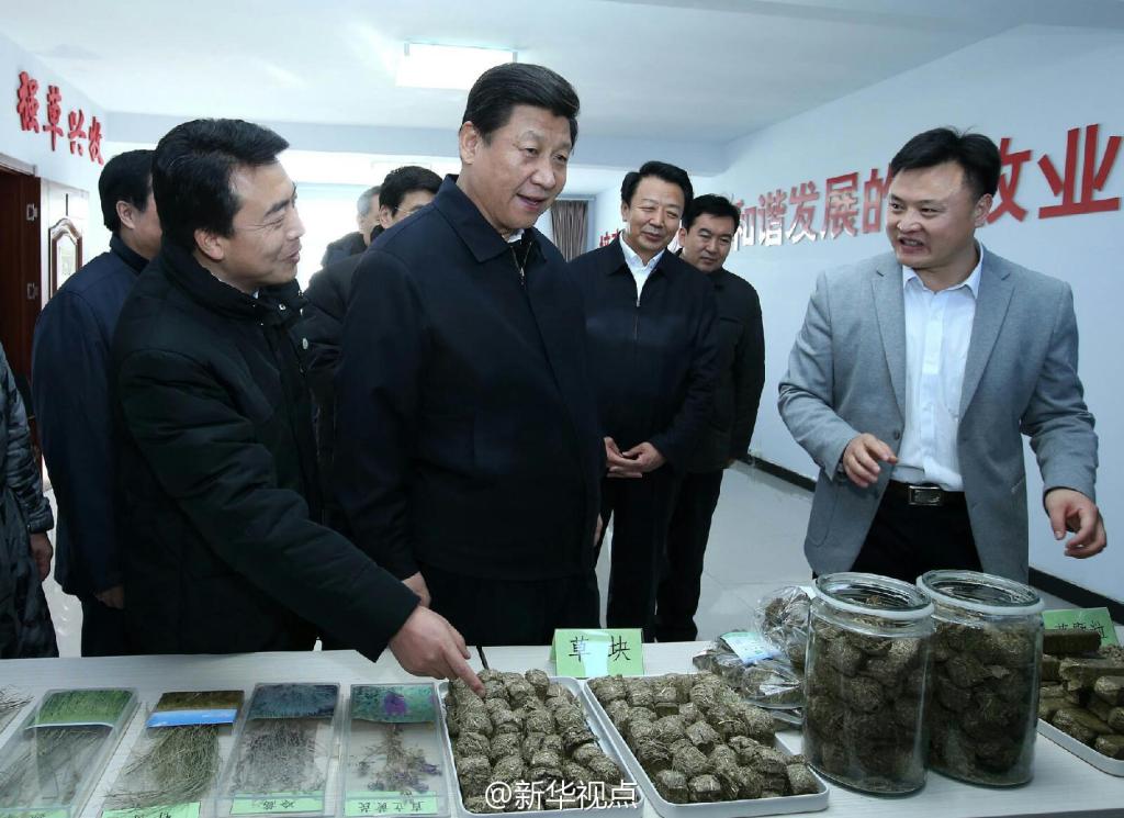 習總書記視察會員單位——草都農(nóng)牧業(yè)發(fā)展有限責任公司毛登牧場飼草產(chǎn)業(yè)基地