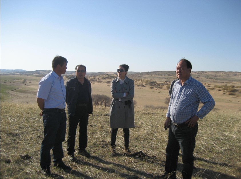 發(fā)揮資源優(yōu)勢，提高產(chǎn)業(yè)鏈競爭力——協(xié)會(huì)為企業(yè)間的合作搭建平臺(tái)