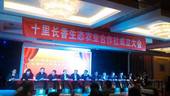 走過十里長川，拉開“十里長香”品牌的序幕