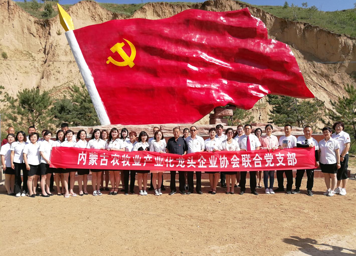 內(nèi)蒙古農(nóng)牧業(yè)產(chǎn)業(yè)化龍頭企業(yè)協(xié)會走進石人灣村開展“辦實事、解難題，送溫暖，傳黨恩”公益活動