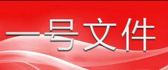 中共中央 國務(wù)院關(guān)于進(jìn)一步深化農村改革 扎實(shí)推進(jìn)鄉村全面振興的意見(jiàn)